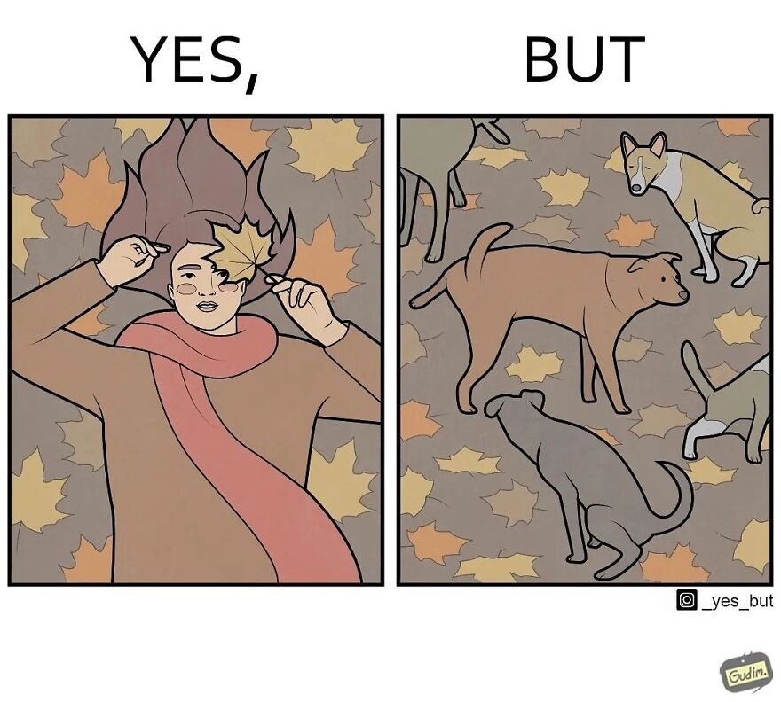 19 Comics By Artist Antоn Gudim From The "Yes, But" Series, Dedicated Exclusively To Dogs And Cats