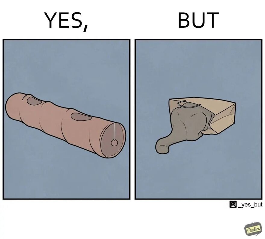 19 Comics By Artist Antоn Gudim From The "Yes, But" Series, Dedicated Exclusively To Dogs And Cats