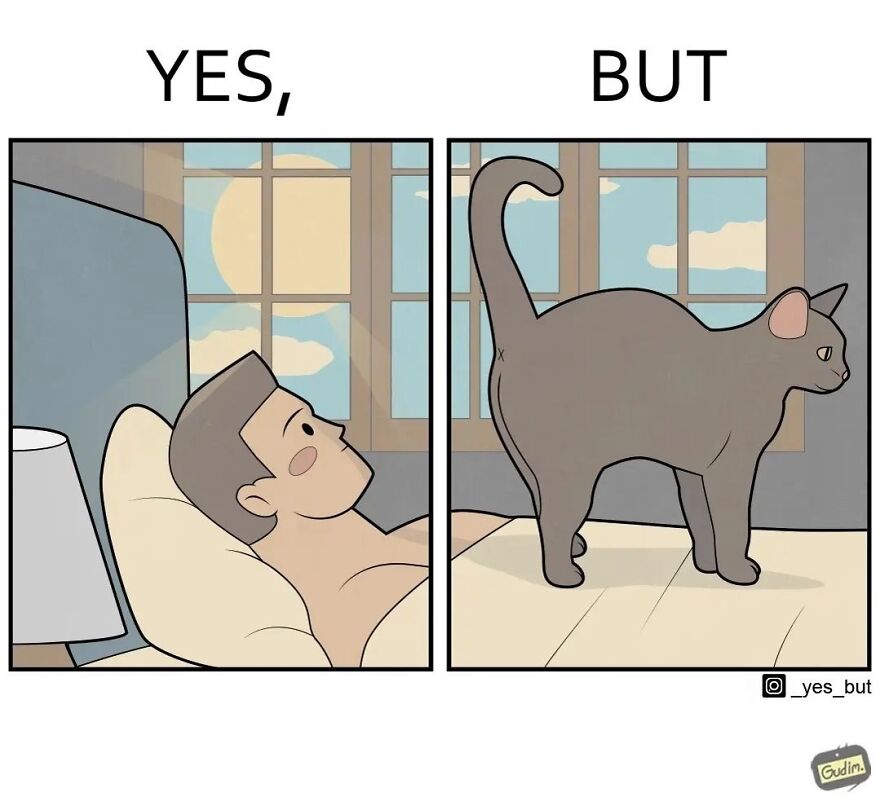 19 Comics By Artist Antоn Gudim From The "Yes, But" Series, Dedicated Exclusively To Dogs And Cats