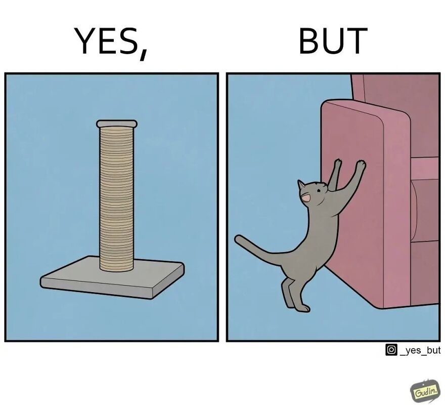 19 Comics By Artist Antоn Gudim From The "Yes, But" Series, Dedicated Exclusively To Dogs And Cats