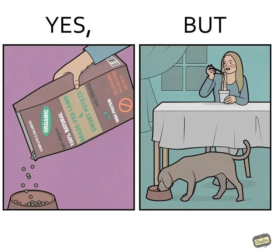 19 Comics By Artist Antоn Gudim From The "Yes, But" Series, Dedicated Exclusively To Dogs And Cats