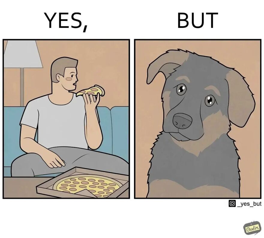 19 Comics By Artist Antоn Gudim From The "Yes, But" Series, Dedicated Exclusively To Dogs And Cats