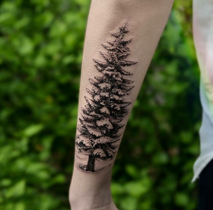 Snowy Pine Tree Tattoo