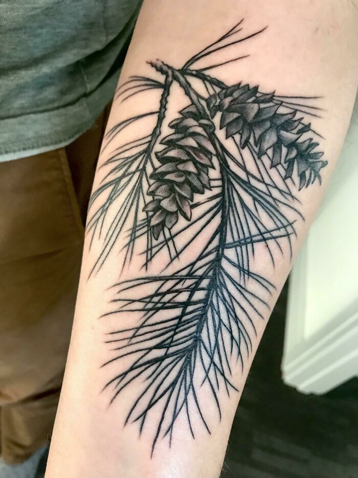 White Pine Tree Tattoo
