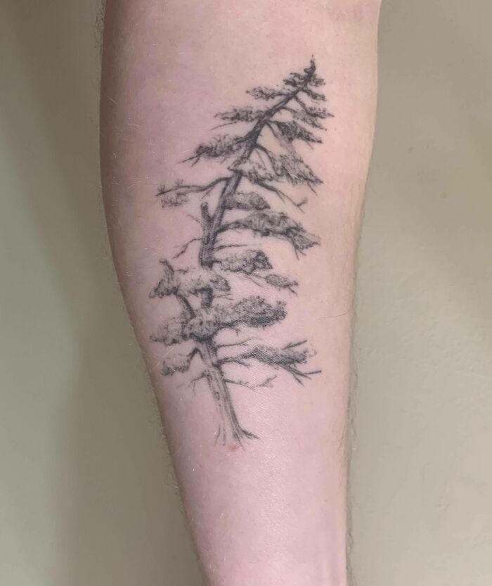 Freehand Pine Tree Tattoo