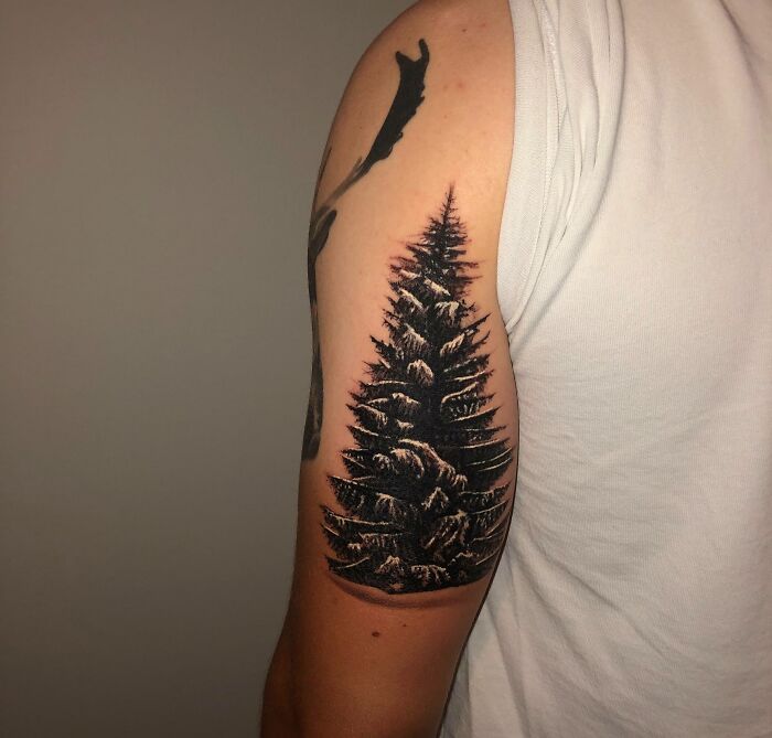 Snow Covered Pine Tree Tattoo