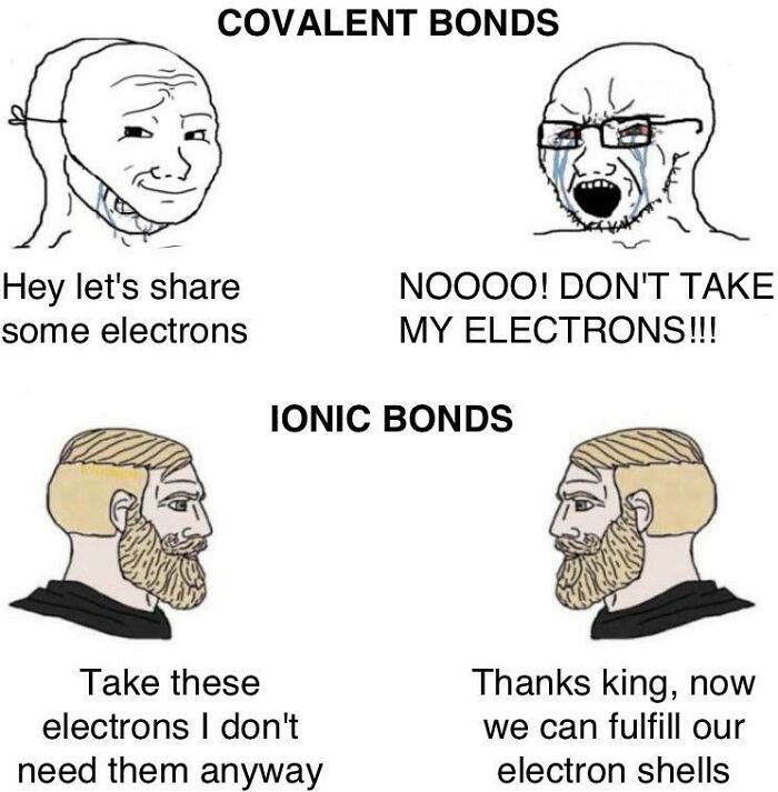 Meme about covalent anf ionic bonds 