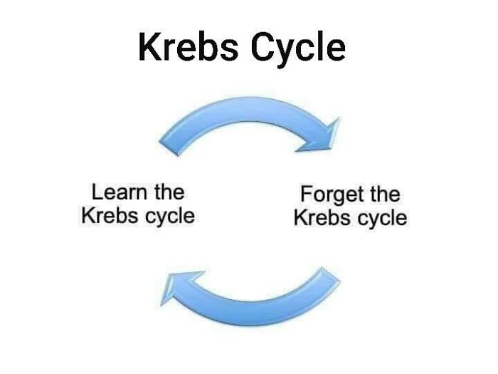 Meme about learning a Krebs cycle 