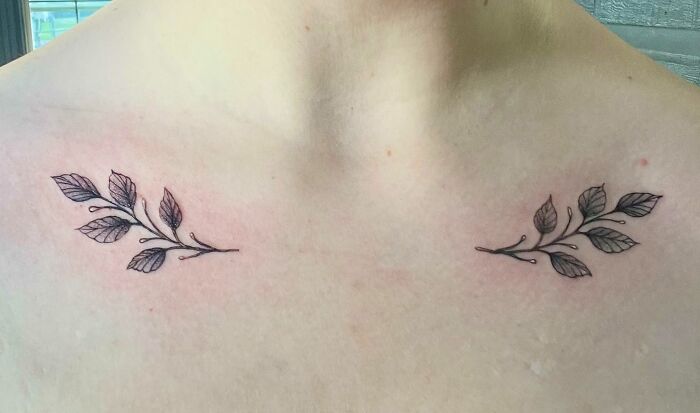 Fresh Olive Branch collarbone Tattoos