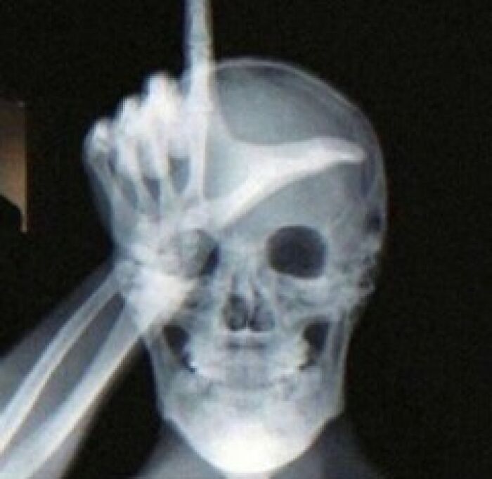 Hilarious-Cursed-Images