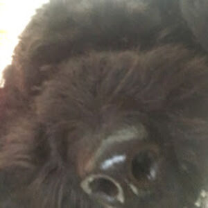 emilyarcher_1 avatar