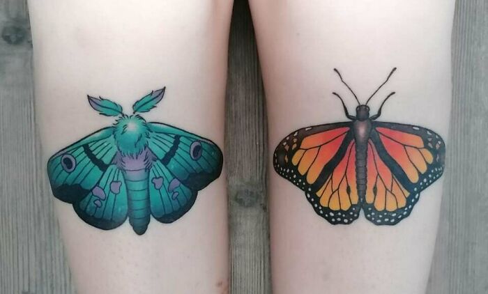 blue Moth And orange Butterfly arm Tattoos