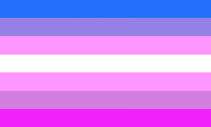 Found This On Reddit, It’s An Omnisexual Demigirl Flag. I’m Actually Questioning My Sexuality And Gender Rn, So This Isn’t Necessarily Accurate