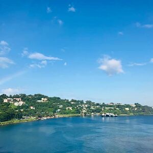 nicolelane2011 avatar