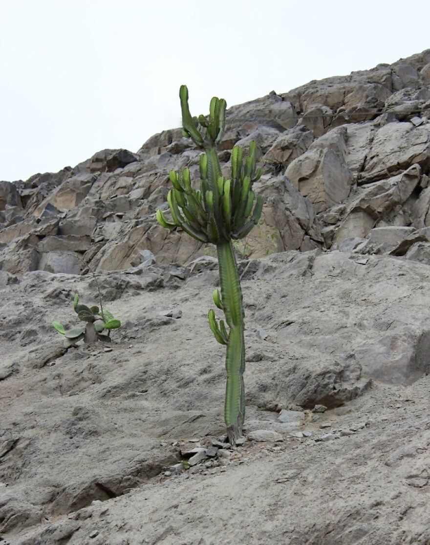 I Visited Puruchuco And Here Are The Highlight From My Trip I Visited Puruchuco And Here Are The Highlight From My Trip