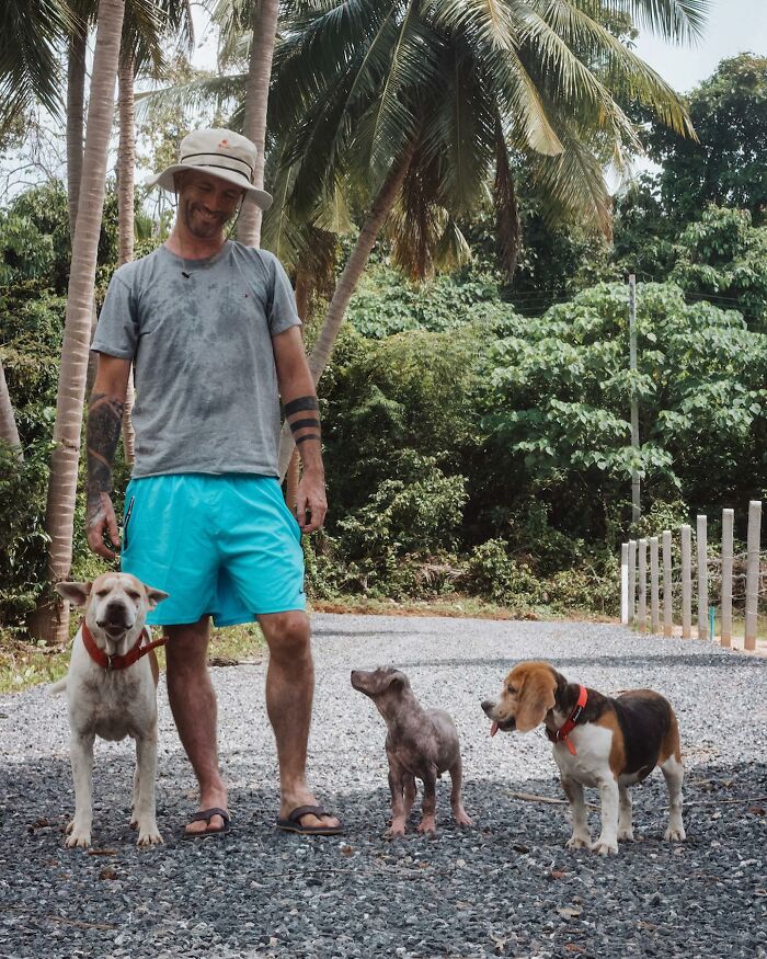 Man Finds His True Happiness Saving Stray Dogs In Thailand (20 Pics)