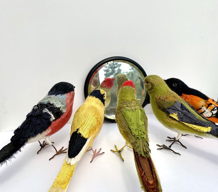 Mirror, Mirror On The Wall, Who’s The Fairest Of Them All?