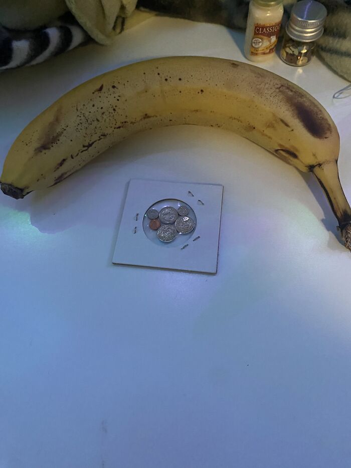 Banana For Scale: *really* Small Us Coins!! 1 Dime, 1 Penny, 1 Nickel, 3 Quarters