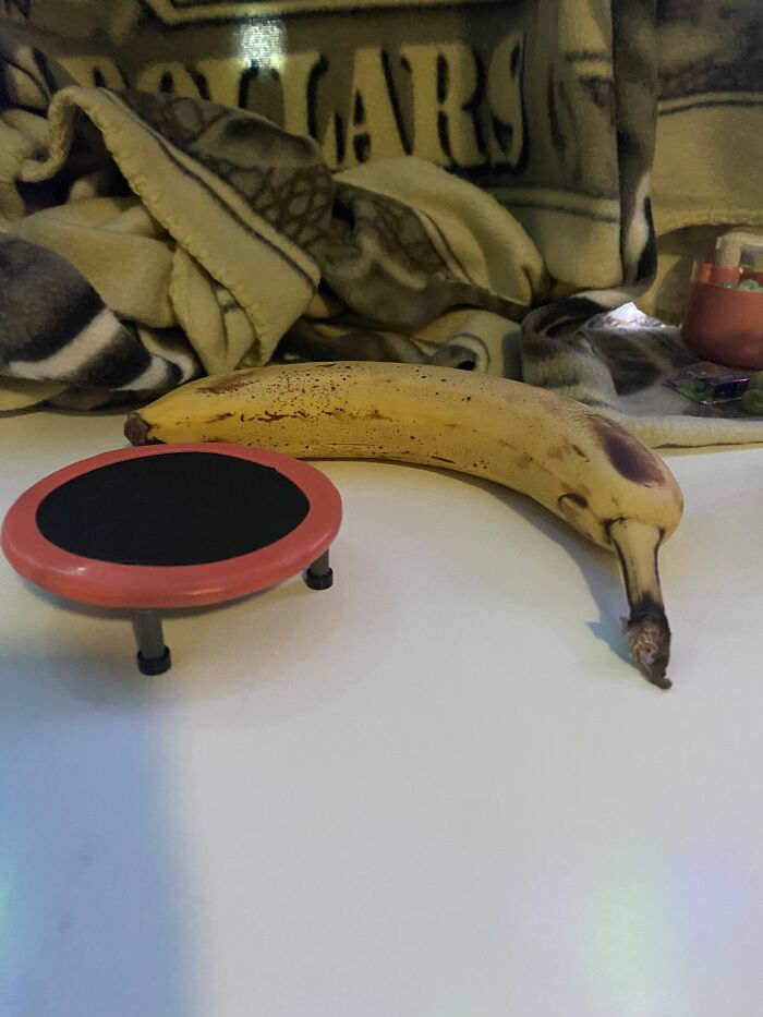 Banana For Scale: Finger Trampoline. It Even Came With Purple Finger Warmers And An Exercise Guidebook