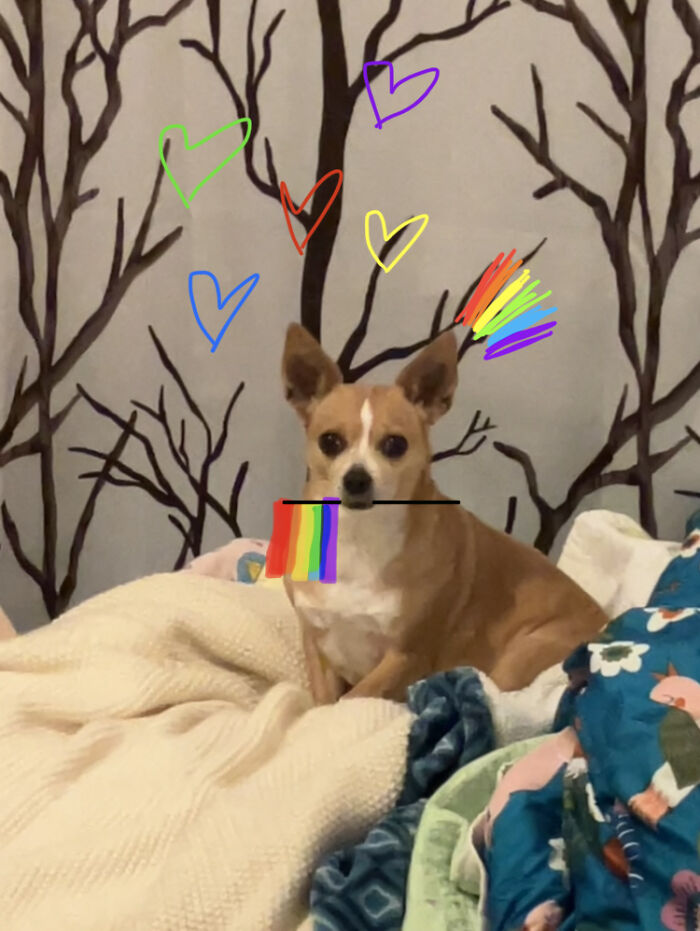 Lucy Doesn’t Have Any Cute Rainbow Accessories But She Accepts You As You Are!