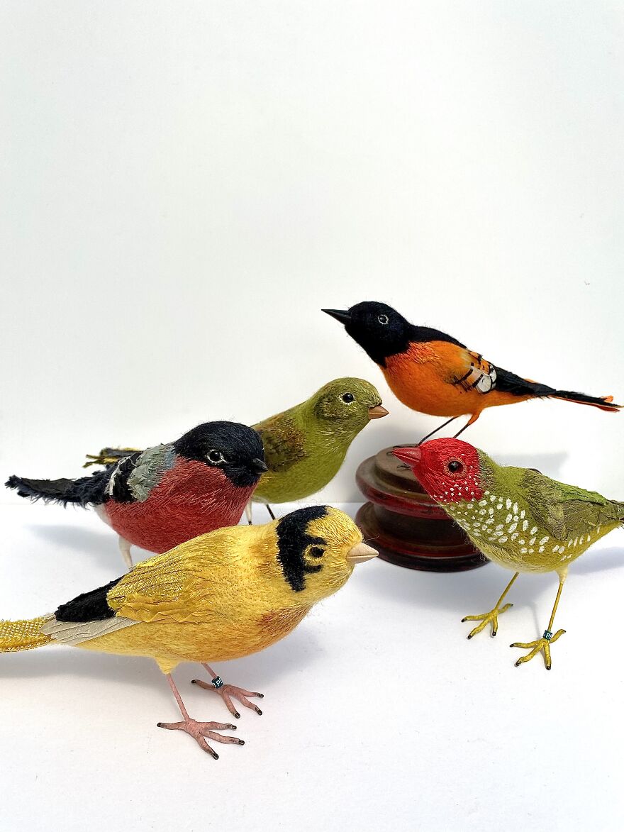 Mirror, Mirror On The Wall, Who’s The Fairest Of Them All?