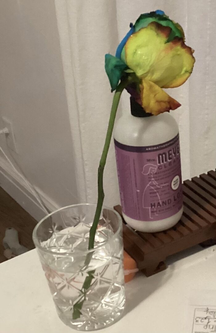 Nurturing It Back To Health But I’m Happy With It