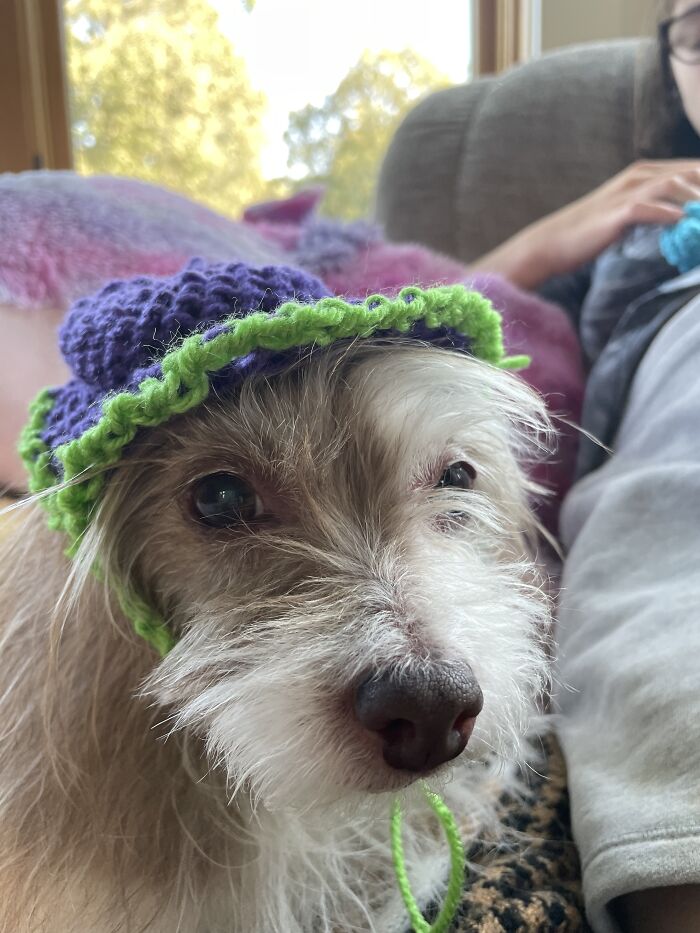 I Crocheted Her A Hat