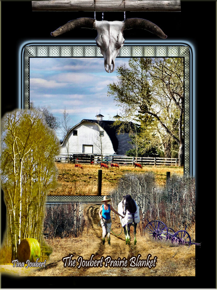 White Barn With Horse Walk