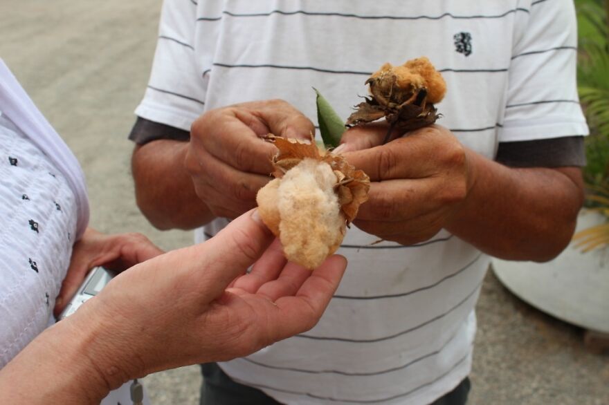 I Visited Puruchuco And Here Are The Highlight From My Trip I Visited Puruchuco And Here Are The Highlight From My Trip