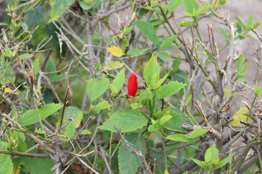 I Visited Puruchuco And Here Are The Highlight From My Trip I Visited Puruchuco And Here Are The Highlight From My Trip