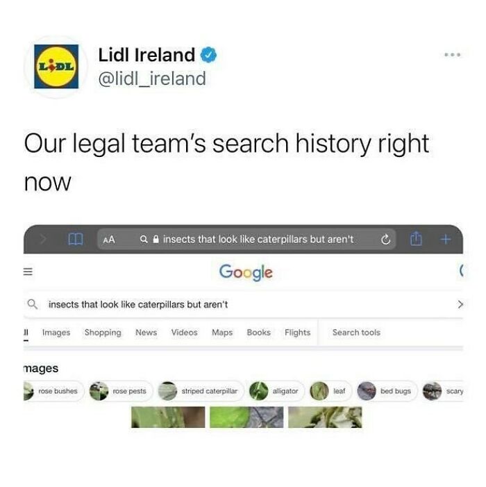 Hilarious-British-Memes