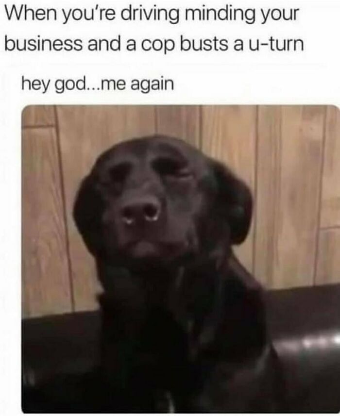 So-Basic-I-Cant-Even-Memes