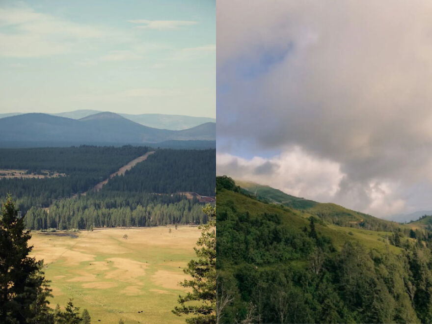 Capturing Moments: The Art And Beauty Of Photography Capturing Moments: The Art And Beauty Of Photography