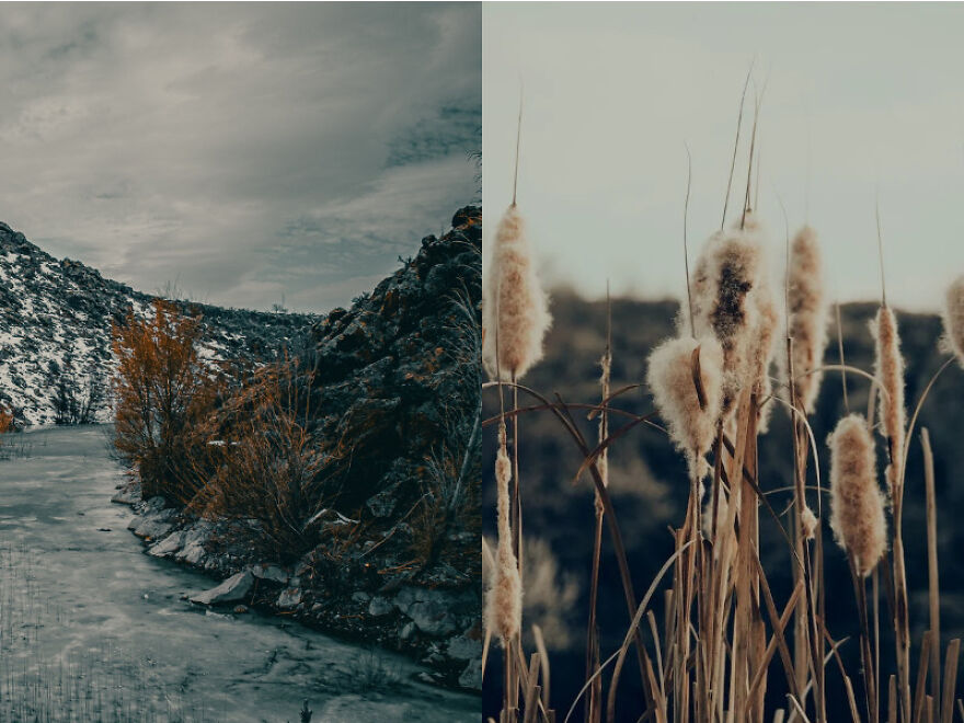 Capturing Moments: The Art And Beauty Of Photography Capturing Moments: The Art And Beauty Of Photography