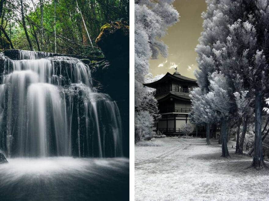 Capturing Moments: The Art And Beauty Of Photography Capturing Moments: The Art And Beauty Of Photography