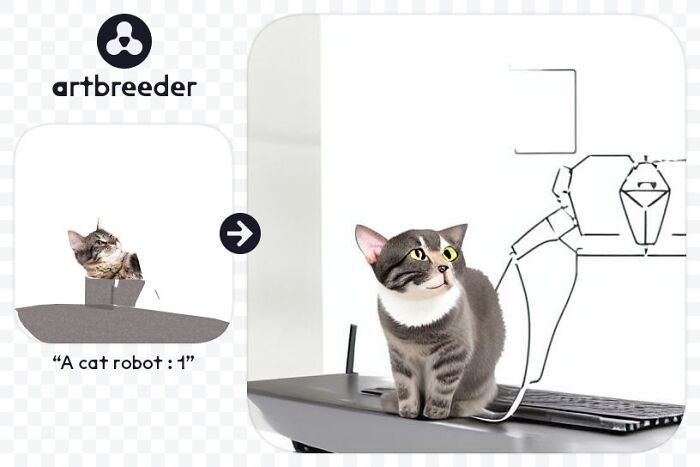 Cat Memes For Everyone! Feat Icanhascheezburger!