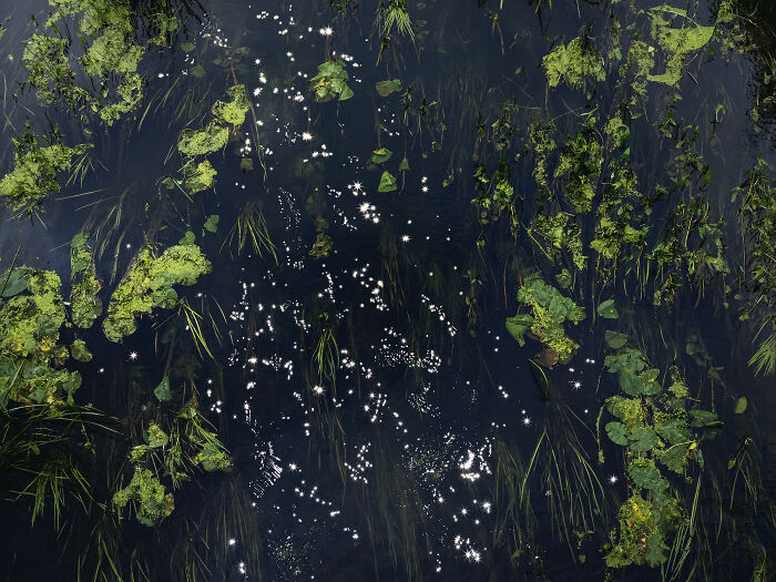 I Combined Light And Water To Create These Images About Rare Chalk Streams (12 Pics)