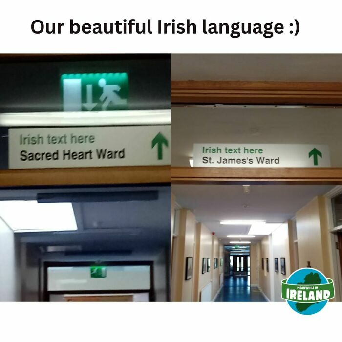 Meanwhile-In-Ireland-Memes