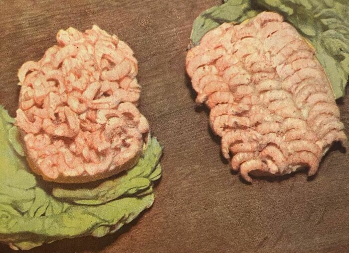 Shrimp Sandwich (Open Sandwiches And Cold Lunches, 1949)