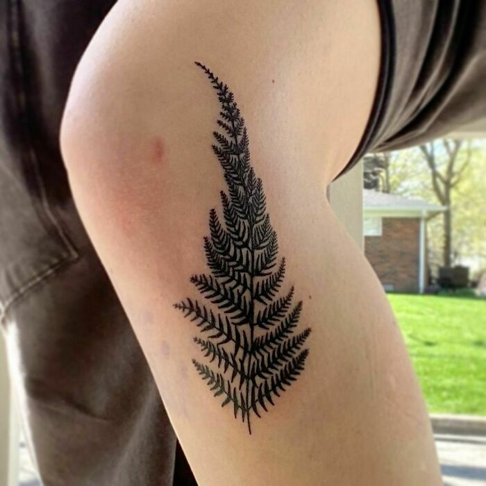 Fern-inspired tribal tattoo on upper arm, detailed in black ink, outdoors.