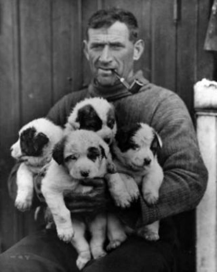 Legendary Irish Antarctic Explorer Tom Crean. Crean Was A Member Of Three Major Expeditions To Antarctica During The Heroic Age Of Antarctic Exploration, Including Robert Falcon Scott's 1911–1913 Terra Nova Expedition