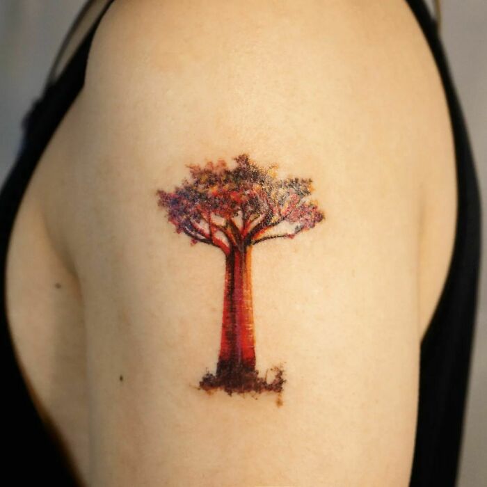 Baobab Tree Tattoo