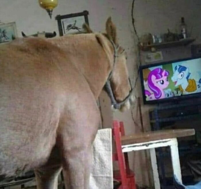 Hilarious-Cursed-Images