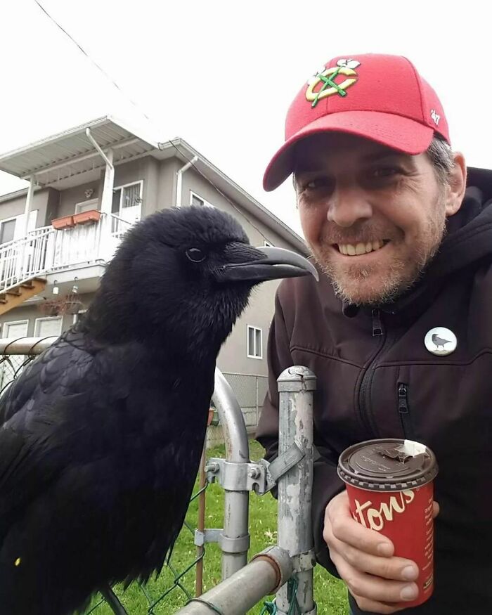 Picture of man with crow