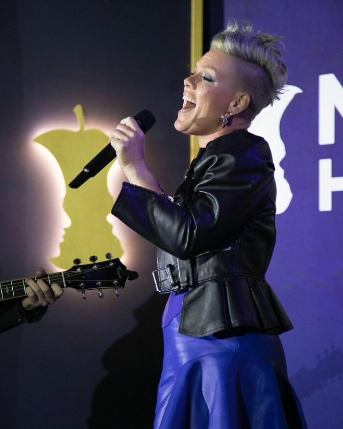Pink’s Fan Throws Late Mother’s Ashes At Singer During Concert, She Responds