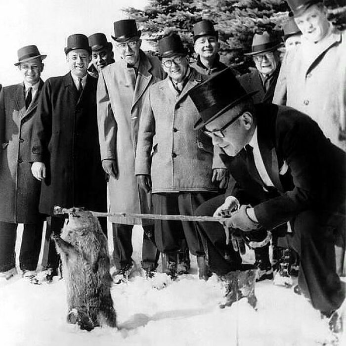 Groundhog Day 2 February, 1963