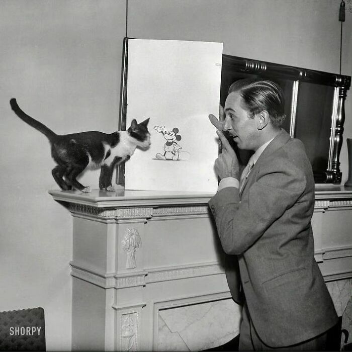 Walt Disney explicando sobre Mickey Mouse a un gato, 1931