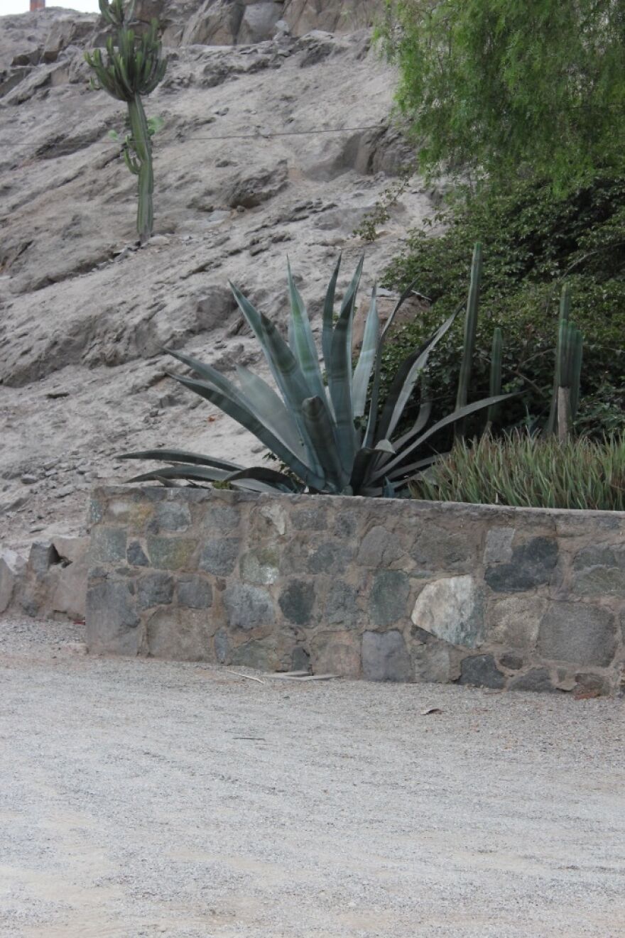 I Visited Puruchuco And Here Are The Highlight From My Trip I Visited Puruchuco And Here Are The Highlight From My Trip