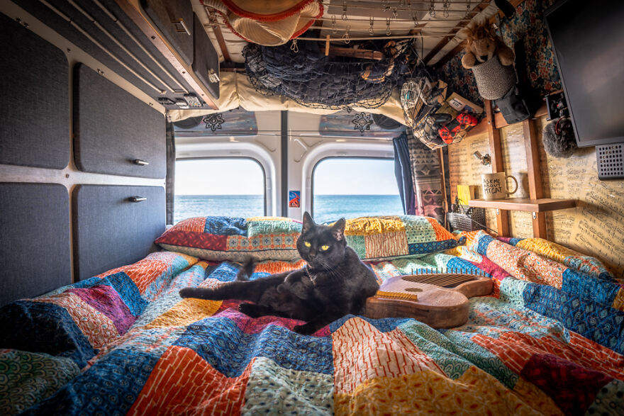 I Started Traveling Around Australia In A Campervan With My Cat Willow, And My Whole Life Changed