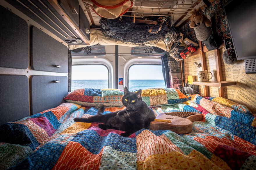 I Started Traveling Around Australia In A Campervan With My Cat Willow, And My Whole Life Changed I Started Traveling Around Australia In A Campervan With My Cat Willow, And My Whole Life Changed